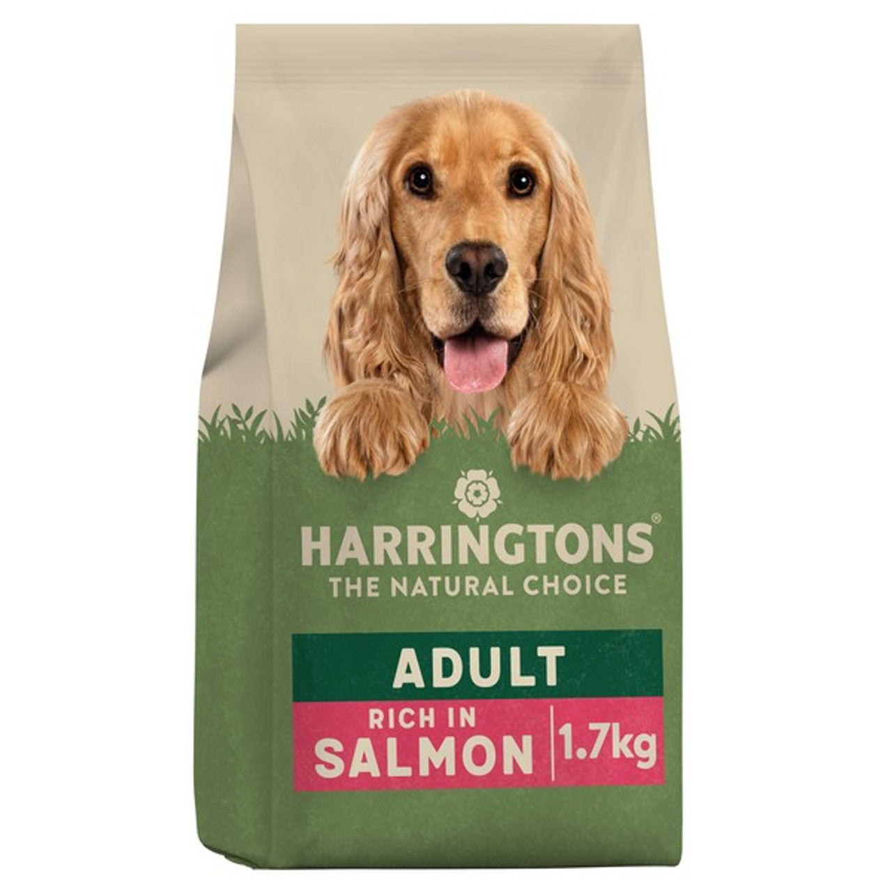 Premium Dog Food Variety – Top Brands for All Breeds & Life Stages | Dry & Wet Options