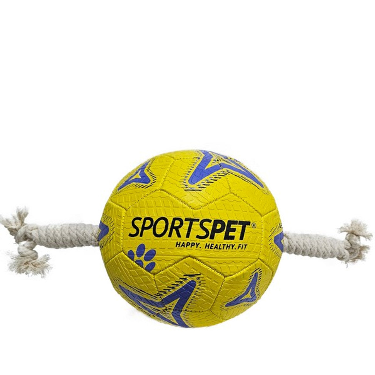 π Sport Pet Ball & Rugby Ball Range β Tug, Fetch & Play! πΆ