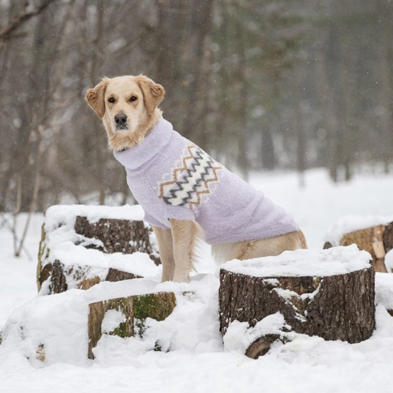 Pet Sweaters & Raincoats For Dogs