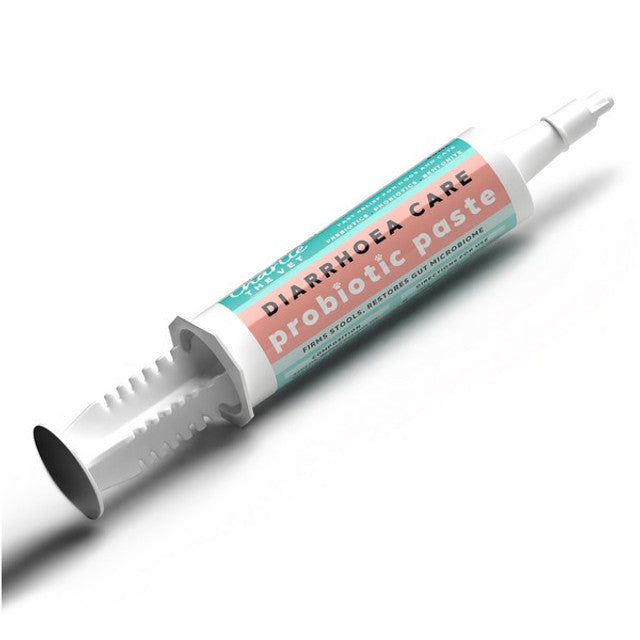 Charlie the Vet Pet First Aid Kit – For Dogs and Cats