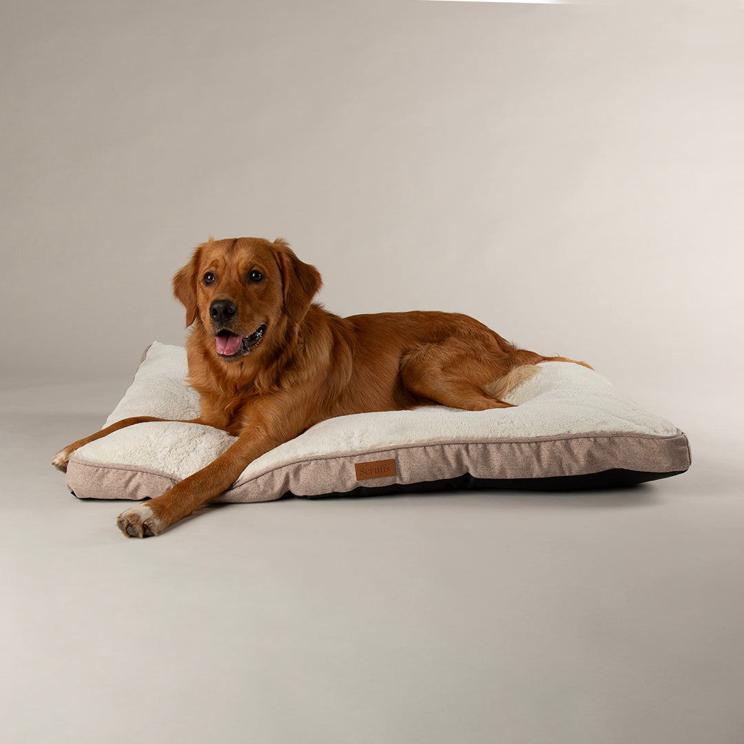 Scruffs Premium Luxury Bedding Collection - Plush Comfort Ultra Soft Cushioned Beds for Dogs & Cats Machine Washable