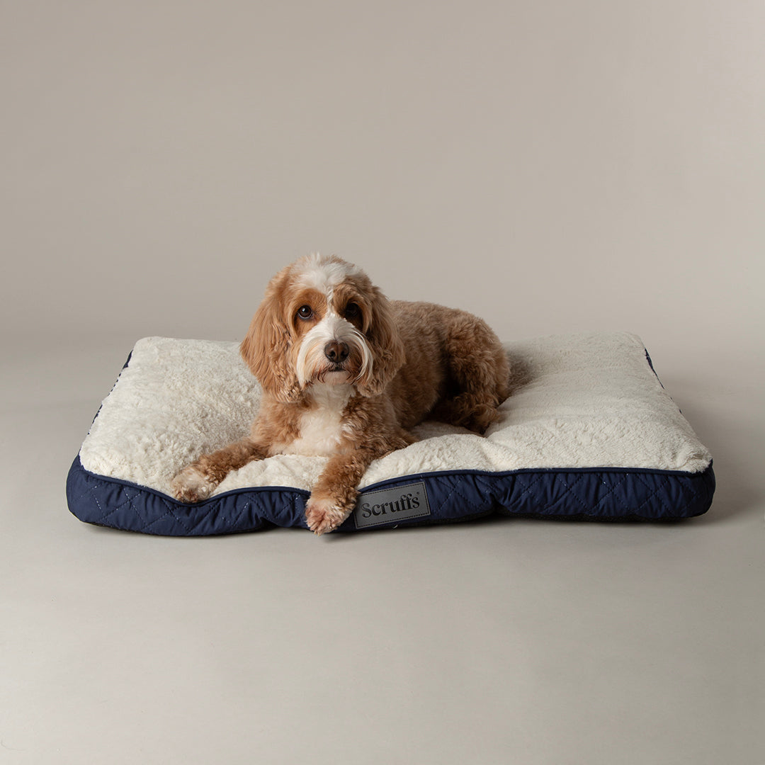 Scruffs Premium Luxury Bedding Collection - Plush Comfort Ultra Soft Cushioned Beds for Dogs & Cats Machine Washable