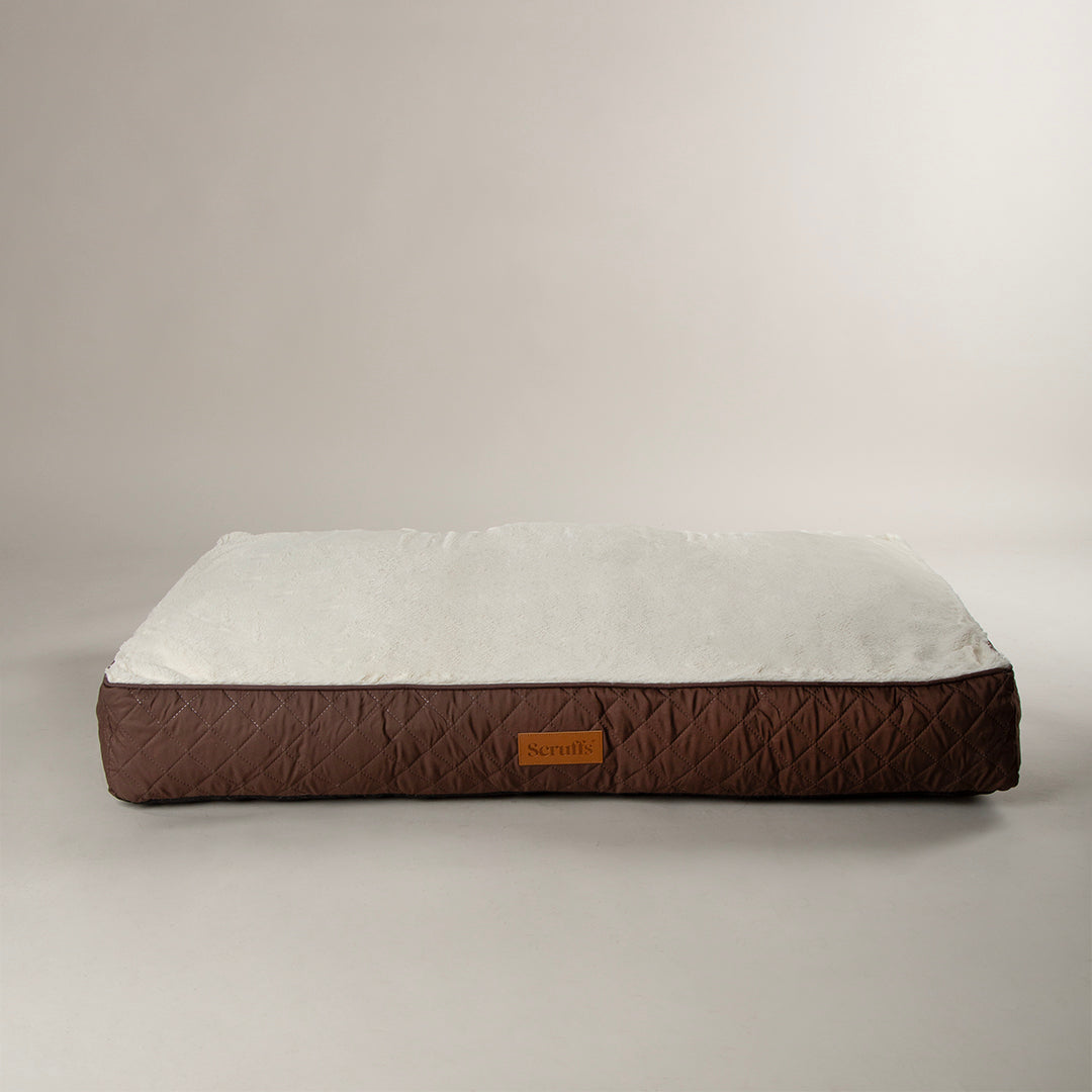 Scruffs Premium Luxury Bedding Collection - Plush Comfort Ultra Soft Cushioned Beds for Dogs & Cats Machine Washable