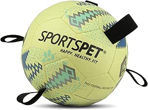 π Sport Pet Ball & Rugby Ball Range β Tug, Fetch & Play! πΆ