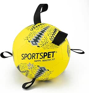 π Sport Pet Ball & Rugby Ball Range β Tug, Fetch & Play! πΆ