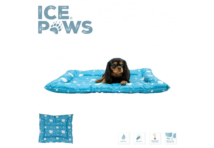 Cooling Toys & Accessories for Dogs โ Keep Your Pup Refreshed! โ๏ธ๐ถ