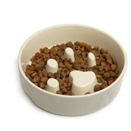 Scruffs® Bowls & Accessories Collection – Stylish & Practical for Every Pet 🐾