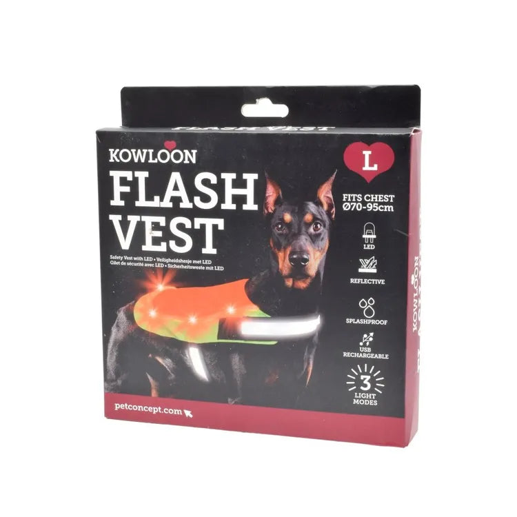 Dog Illumination Range – Light Up Your Doggies Adventure!