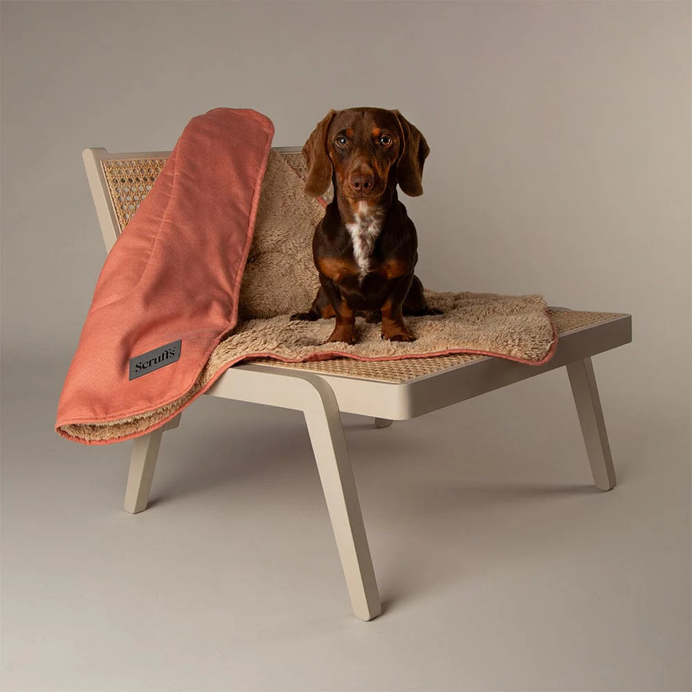 Scruffs Blanket Collection – Premium Cozy Blankets For Your Furry Friend