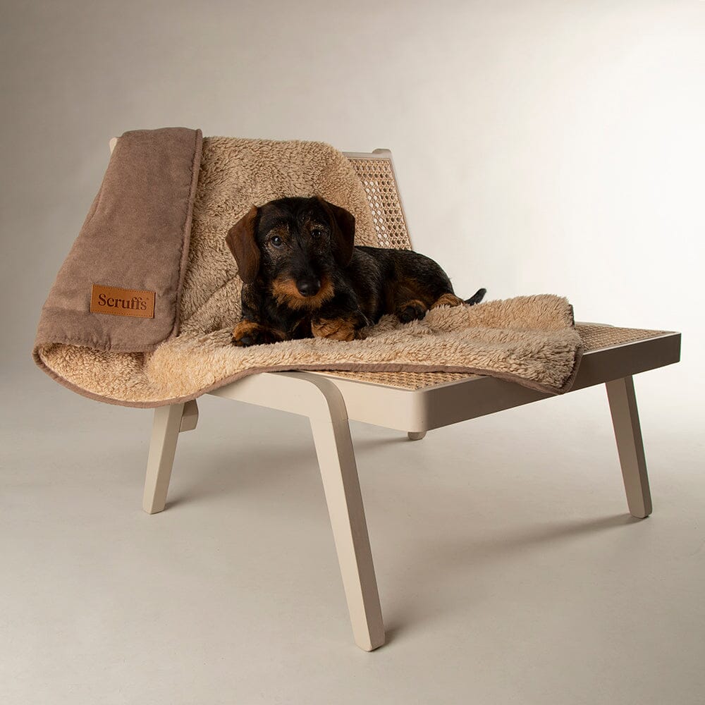 Scruffs Blanket Collection – Premium Cozy Blankets For Your Furry Friend