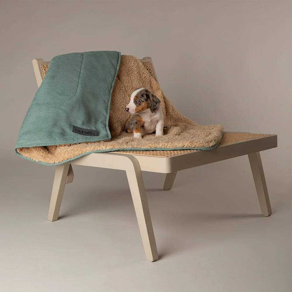 Scruffs Blanket Collection – Premium Cozy Blankets For Your Furry Friend