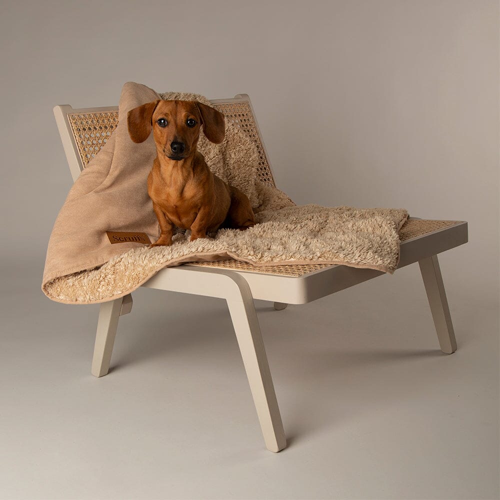 Scruffs Blanket Collection – Premium Cozy Blankets For Your Furry Friend