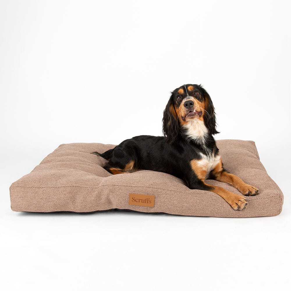 Scruffs Premium Luxury Bedding Collection - Plush Comfort Ultra Soft Cushioned Beds for Dogs & Cats Machine Washable