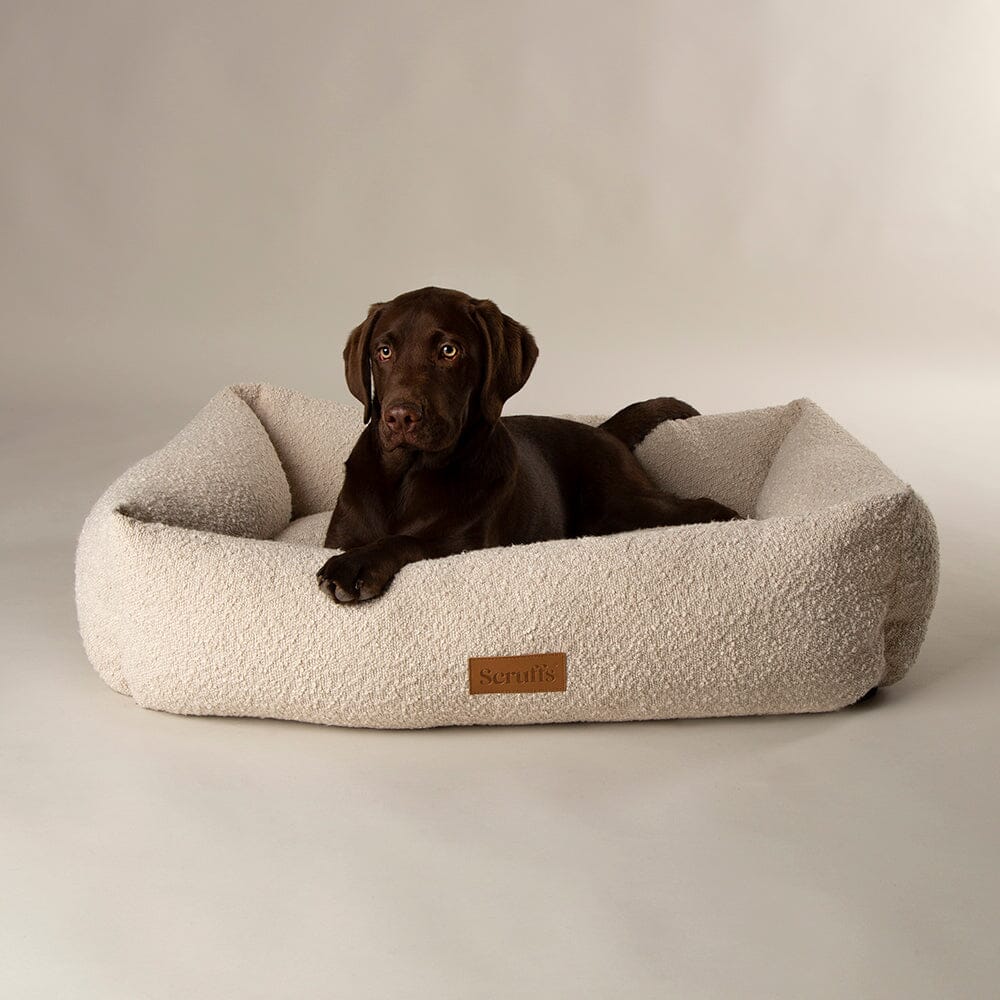 Scruffs Premium Luxury Bedding Collection - Plush Comfort Ultra Soft Cushioned Beds for Dogs & Cats Machine Washable