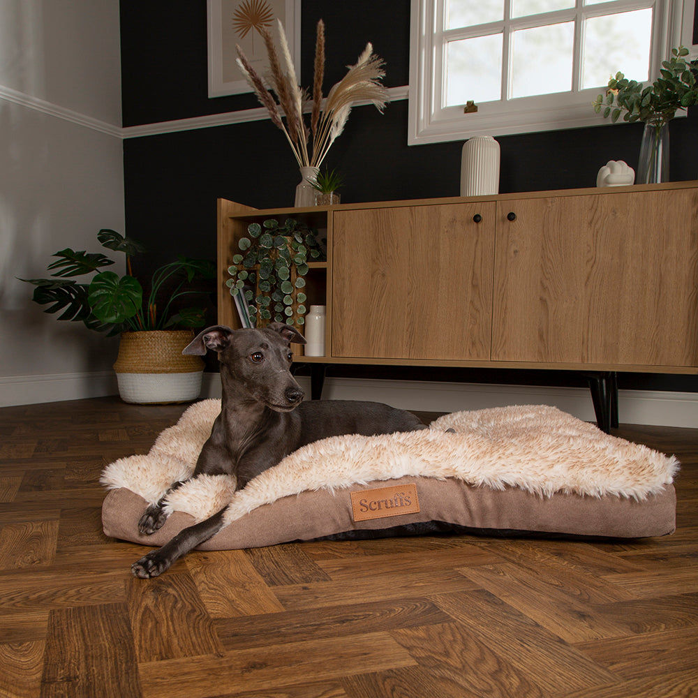 Scruffs Premium Luxury Bedding Collection - Plush Comfort Ultra Soft Cushioned Beds for Dogs & Cats Machine Washable