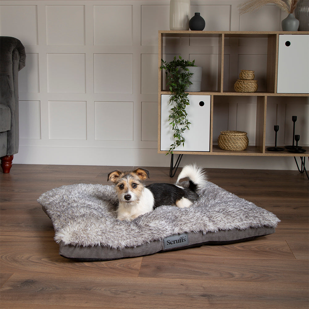 Scruffs Premium Luxury Bedding Collection - Plush Comfort Ultra Soft Cushioned Beds for Dogs & Cats Machine Washable