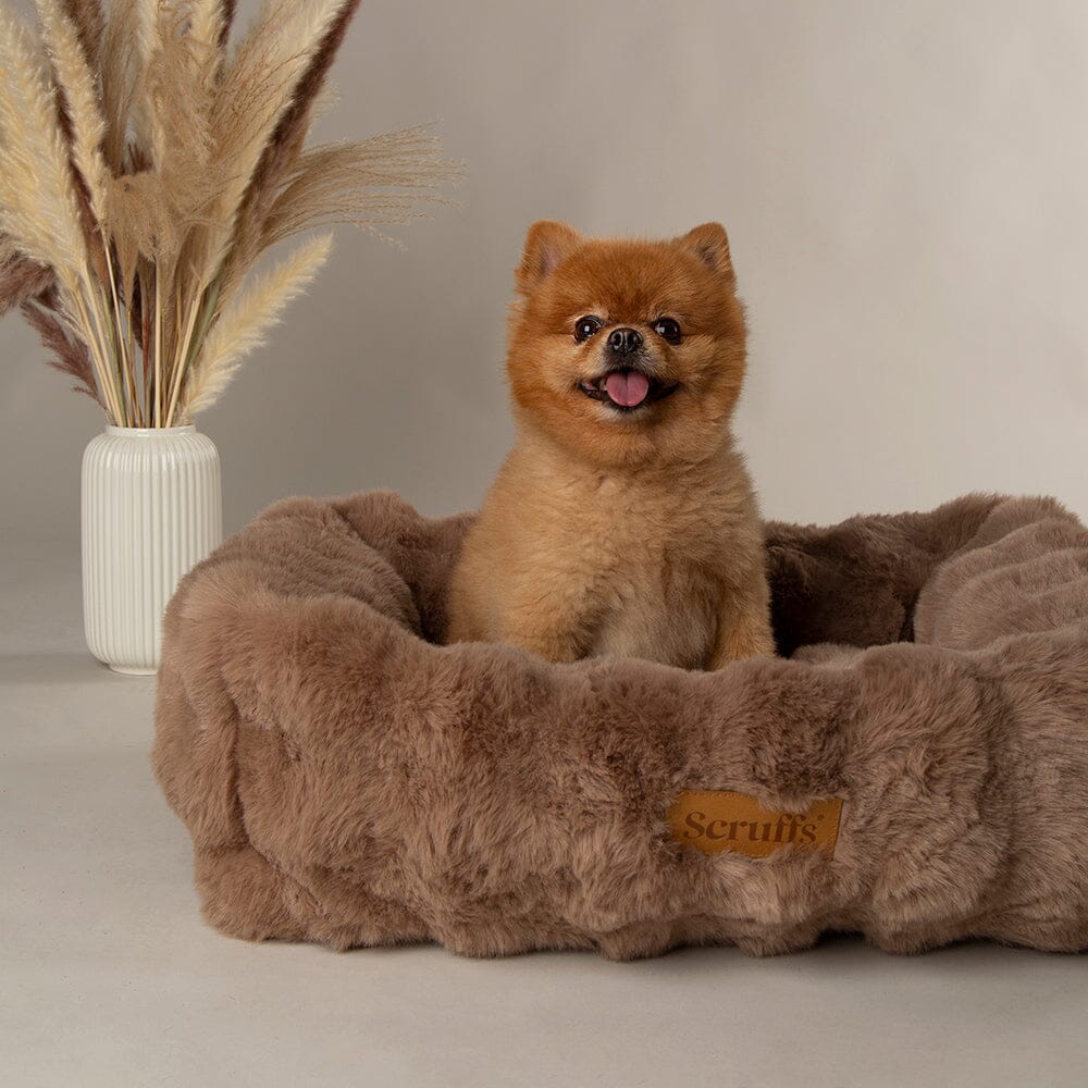Scruffs Premium Luxury Bedding Collection - Plush Comfort Ultra Soft Cushioned Beds for Dogs & Cats Machine Washable