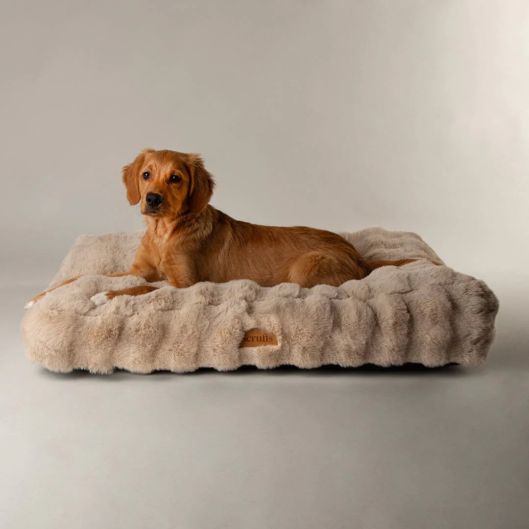 Scruffs Premium Luxury Bedding Collection - Plush Comfort Ultra Soft Cushioned Beds for Dogs & Cats Machine Washable