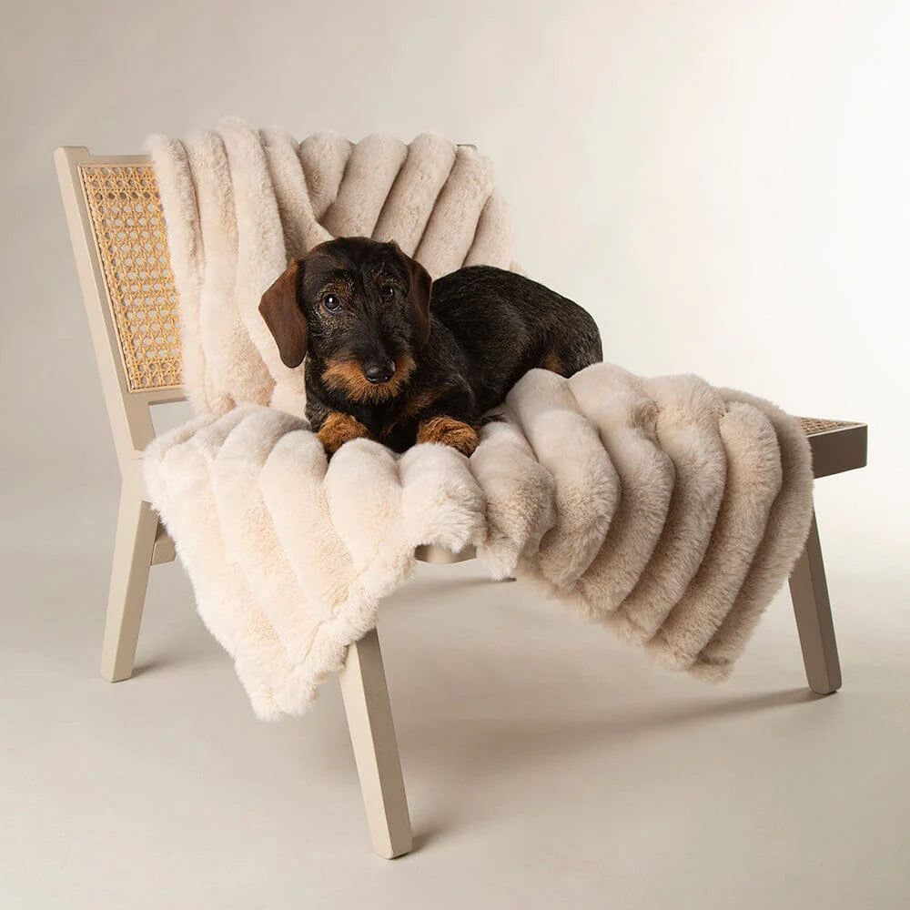 Scruffs Blanket Collection – Premium Cozy Blankets For Your Furry Friend