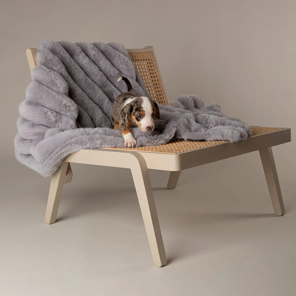 Scruffs Blanket Collection – Premium Cozy Blankets For Your Furry Friend