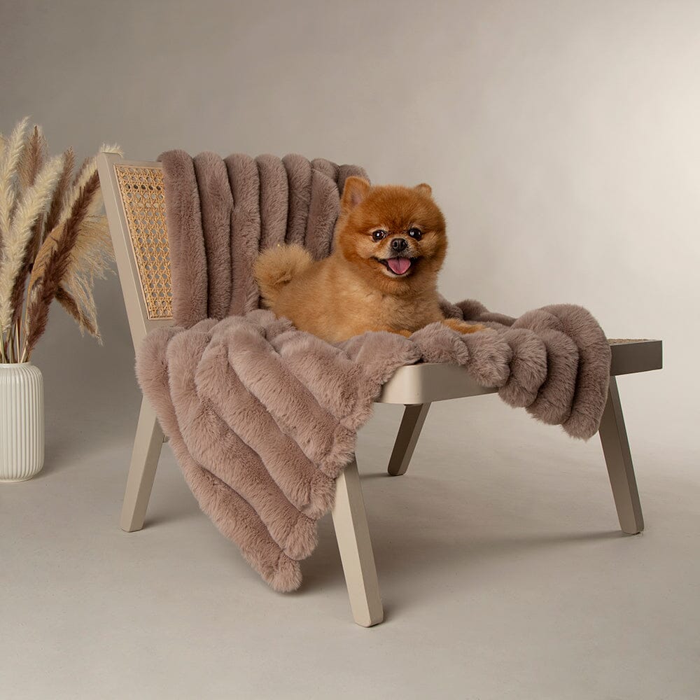 Scruffs Blanket Collection – Premium Cozy Blankets For Your Furry Friend
