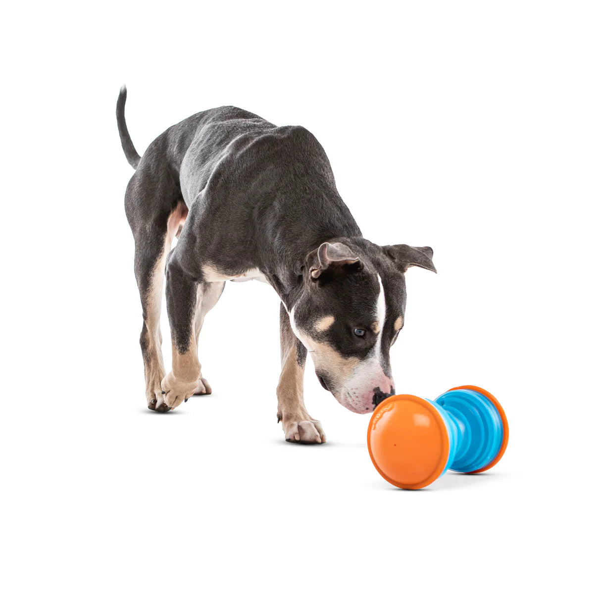 Guru Dog toys