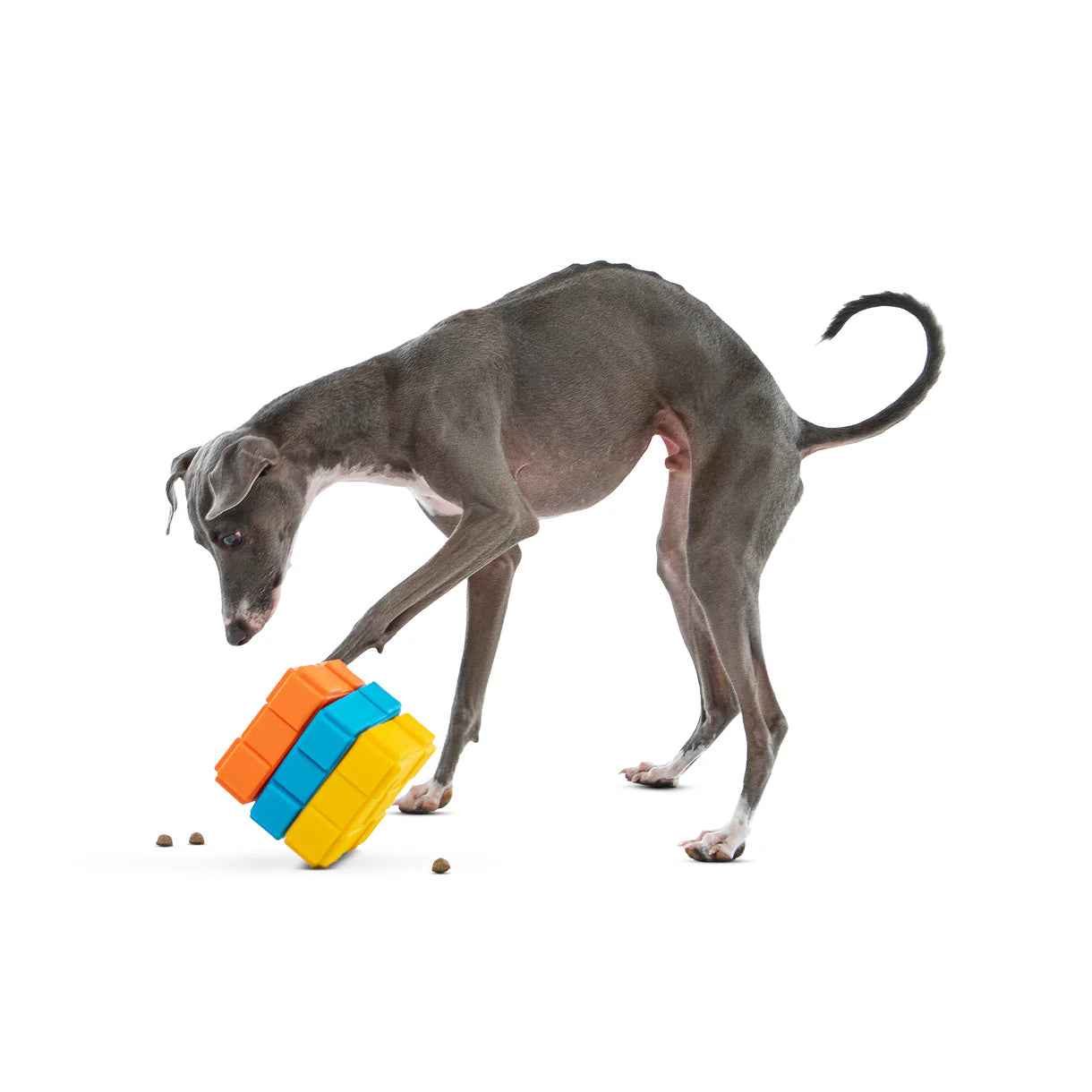 Guru Dog toys