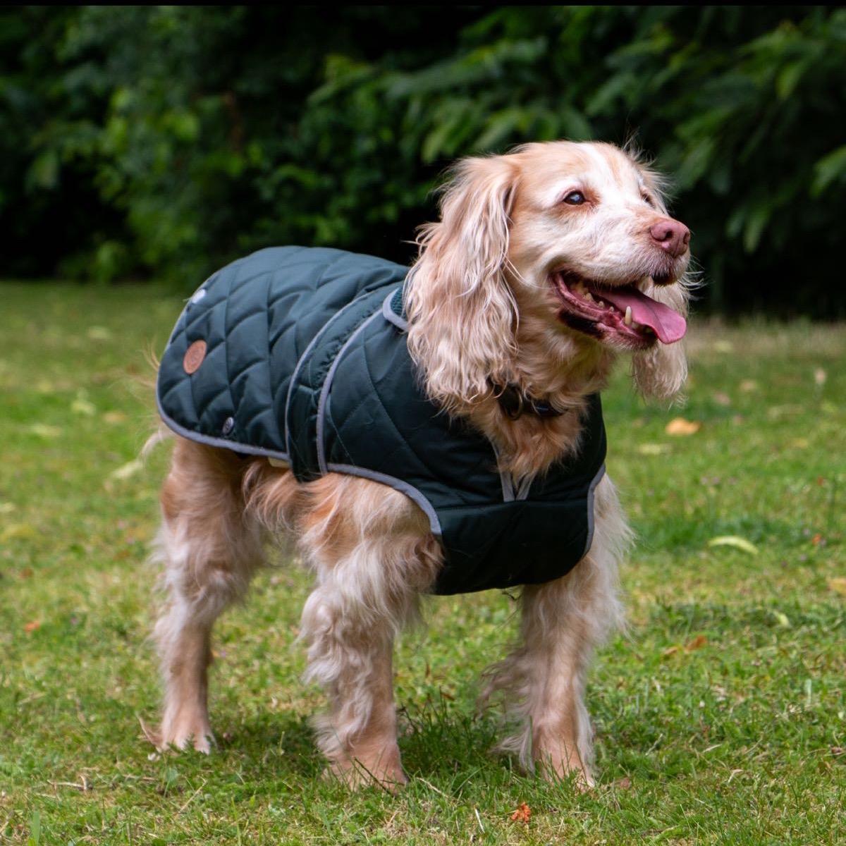 Ancol Hertage Dog Coat Collection