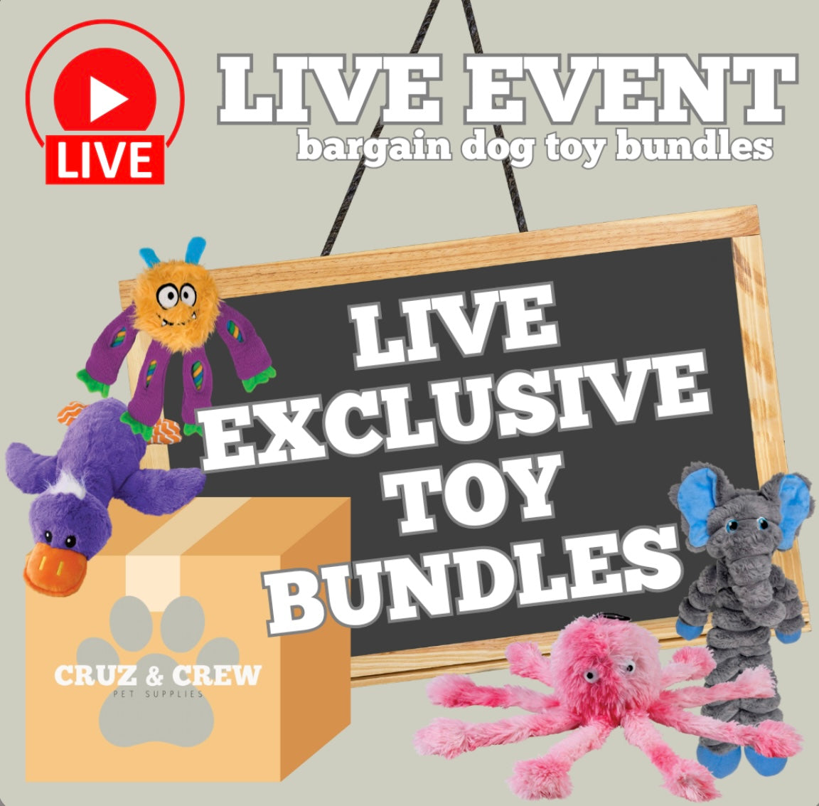 DEAL DROP LIVE EXCLUSIVE TOYS AND TREATS FOR DOGS