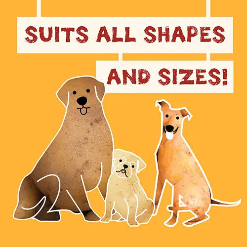 Pawtato Veggie Dog Treats