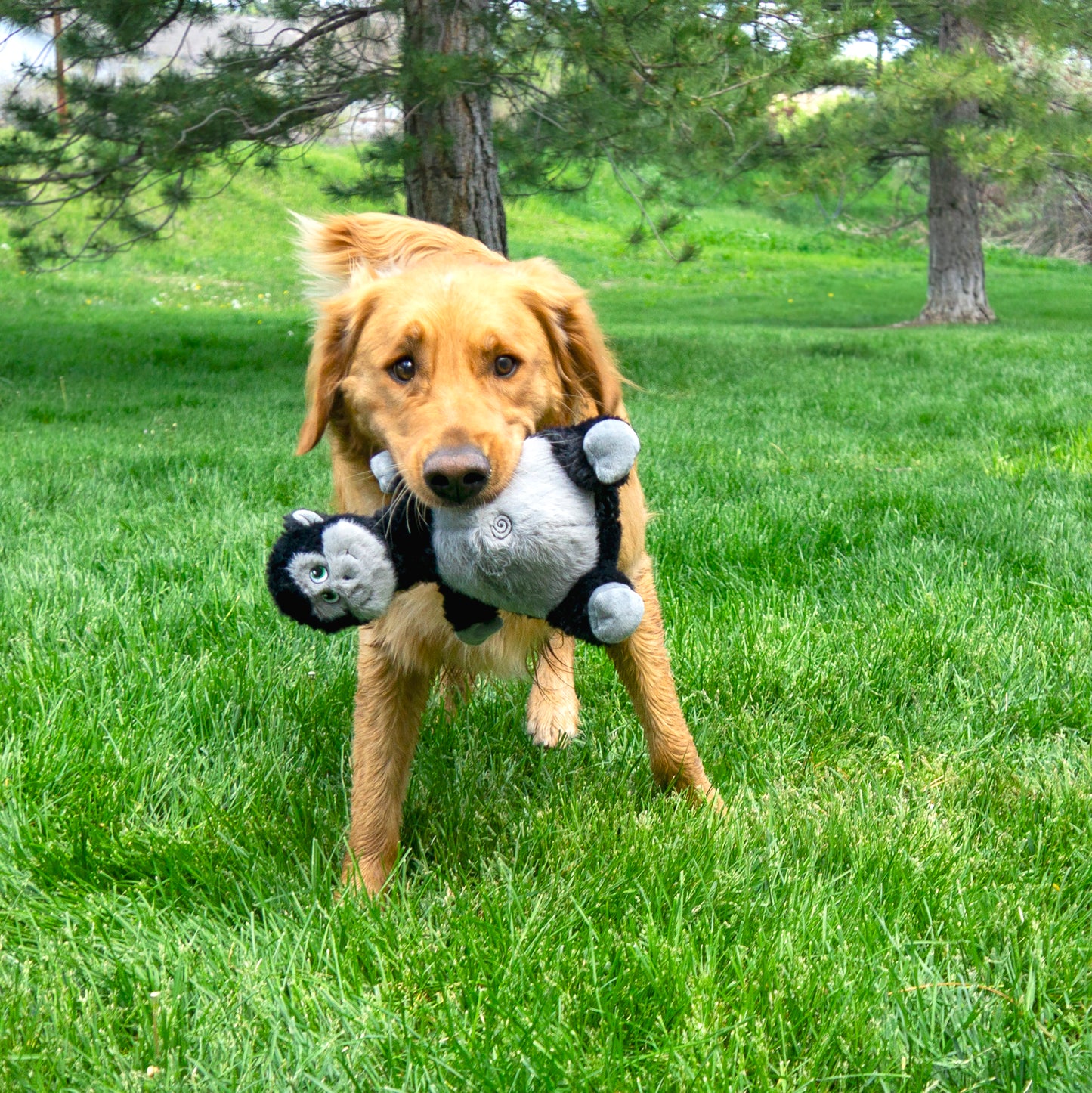 KONG Knots Belly Hippo & Gorilla Dog Toy