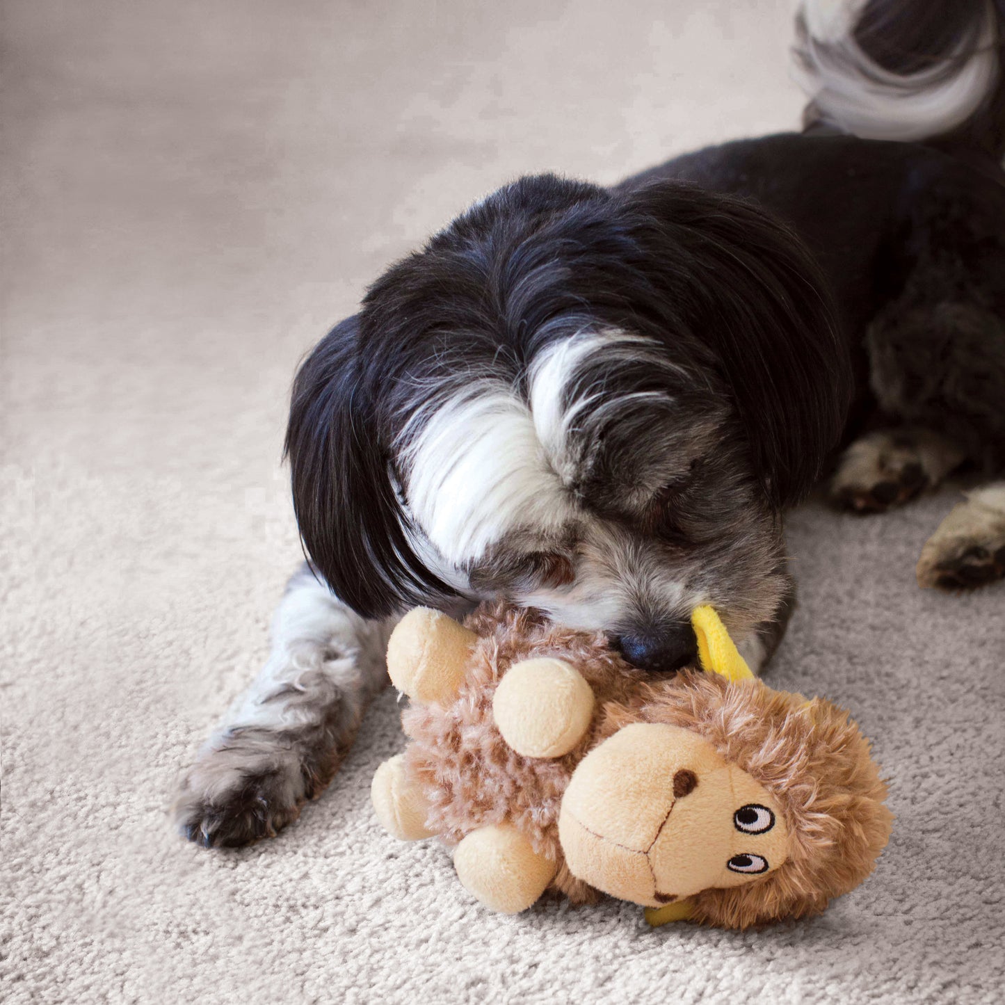 KONG Bardyard Cruncheez Sheep - Crunchie Toy for Dogs - Perfect for Playtime