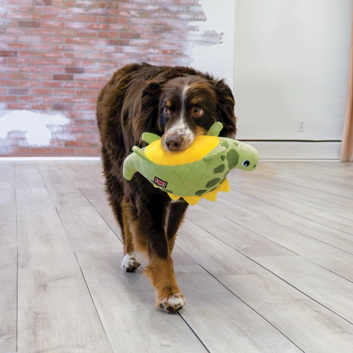 KONG Dynos Roars Dog Toy