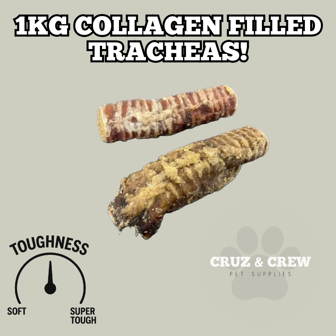 Cruz & Crew 1KG Collagen Filled Trachea! (12 Weeks+)