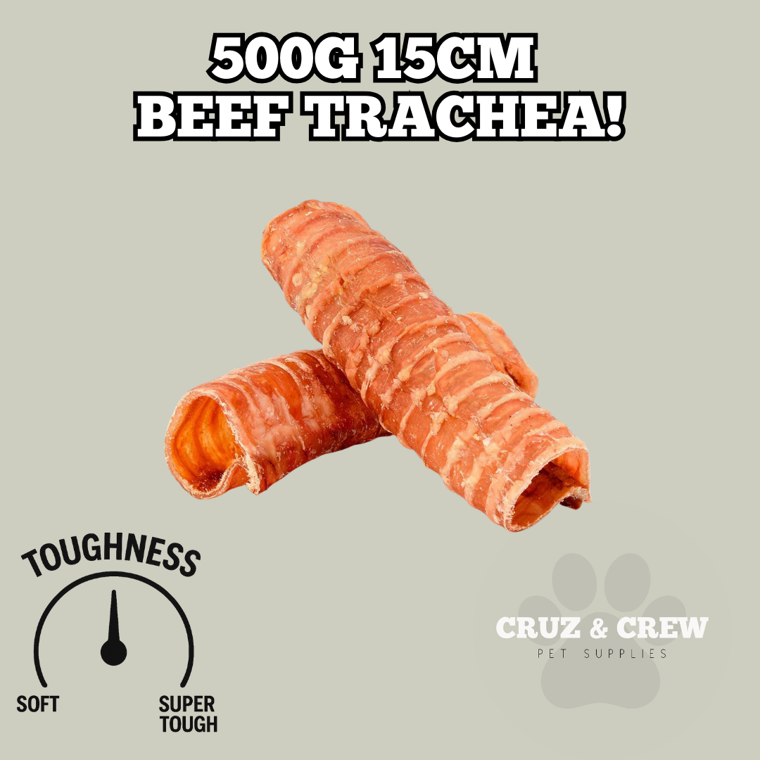 Cruz & Crew 500g 15cm Beef Trachea! (8 Weeks+)