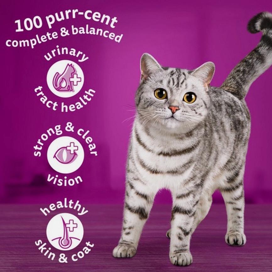 Whiskas Wet & Dry Cat Food - Nutritionally Balanced Meals for Purring Felines