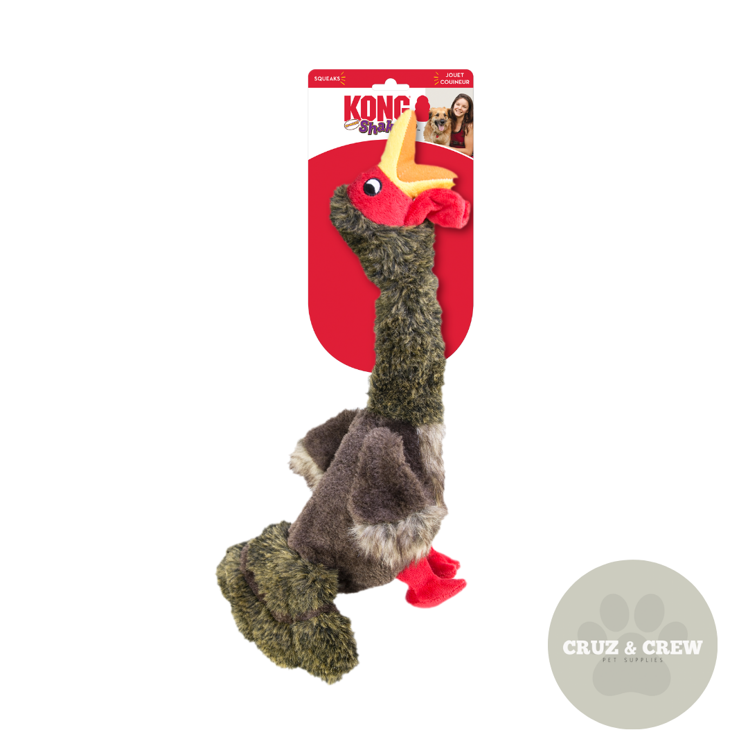 KONG Shakers Honker Dog Toy