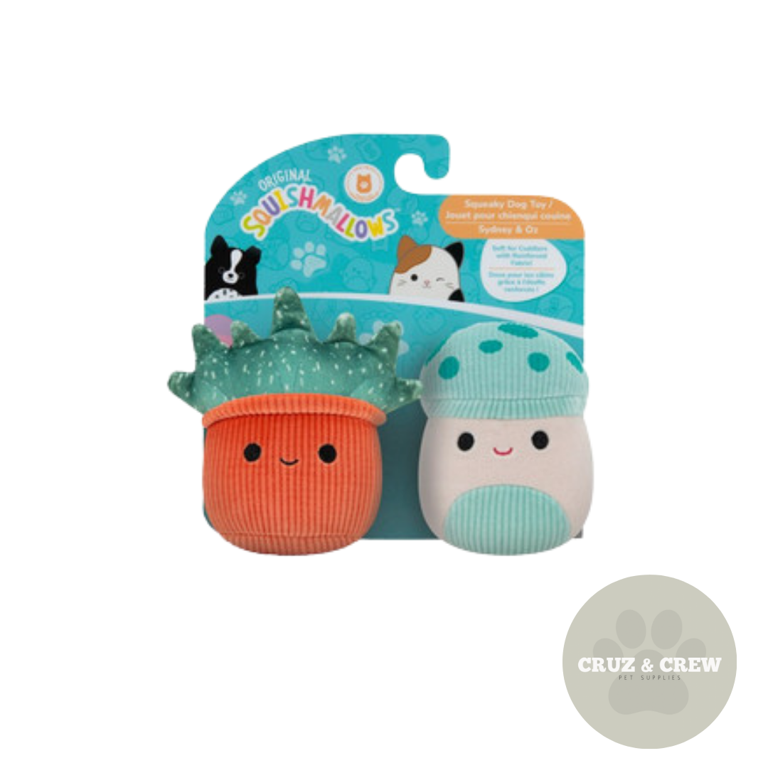 Squishmallows Two Pack Squeaky Plush Dog Toy - Perfect for Your Pet's Playtime