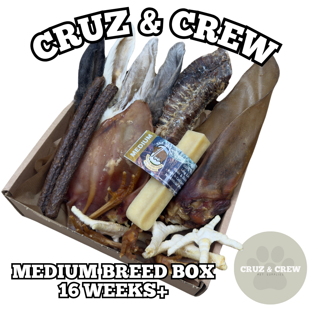 Medium Yak Chew and Natural Treats Box for Medium Dog Breeds