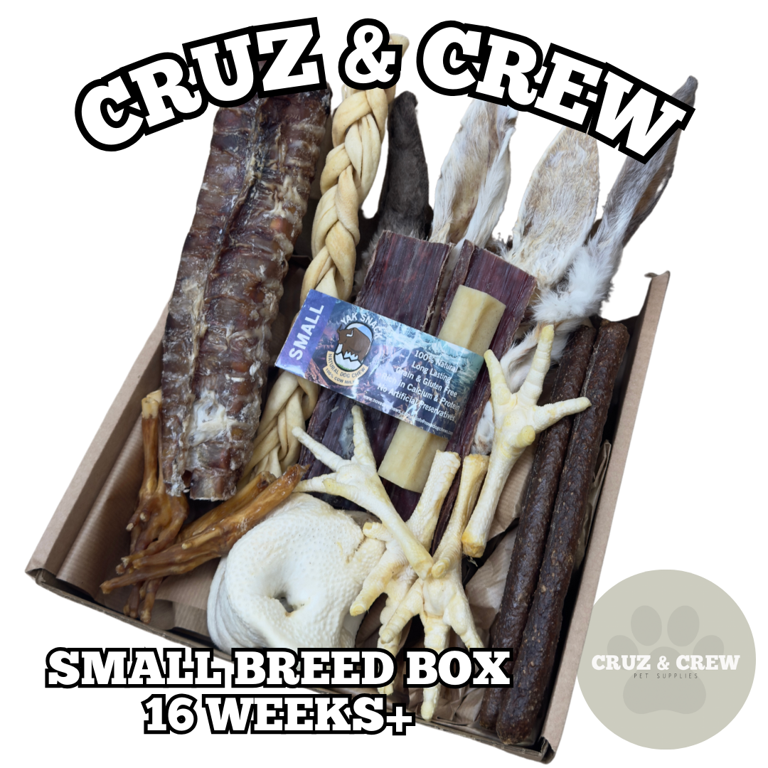Small Yak Chew and Natural Treats Box for Small Dog Breeds
