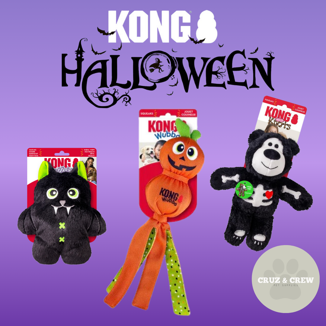 KONG Halloween Dog Toy Range – Spooky Fun for Every Pup