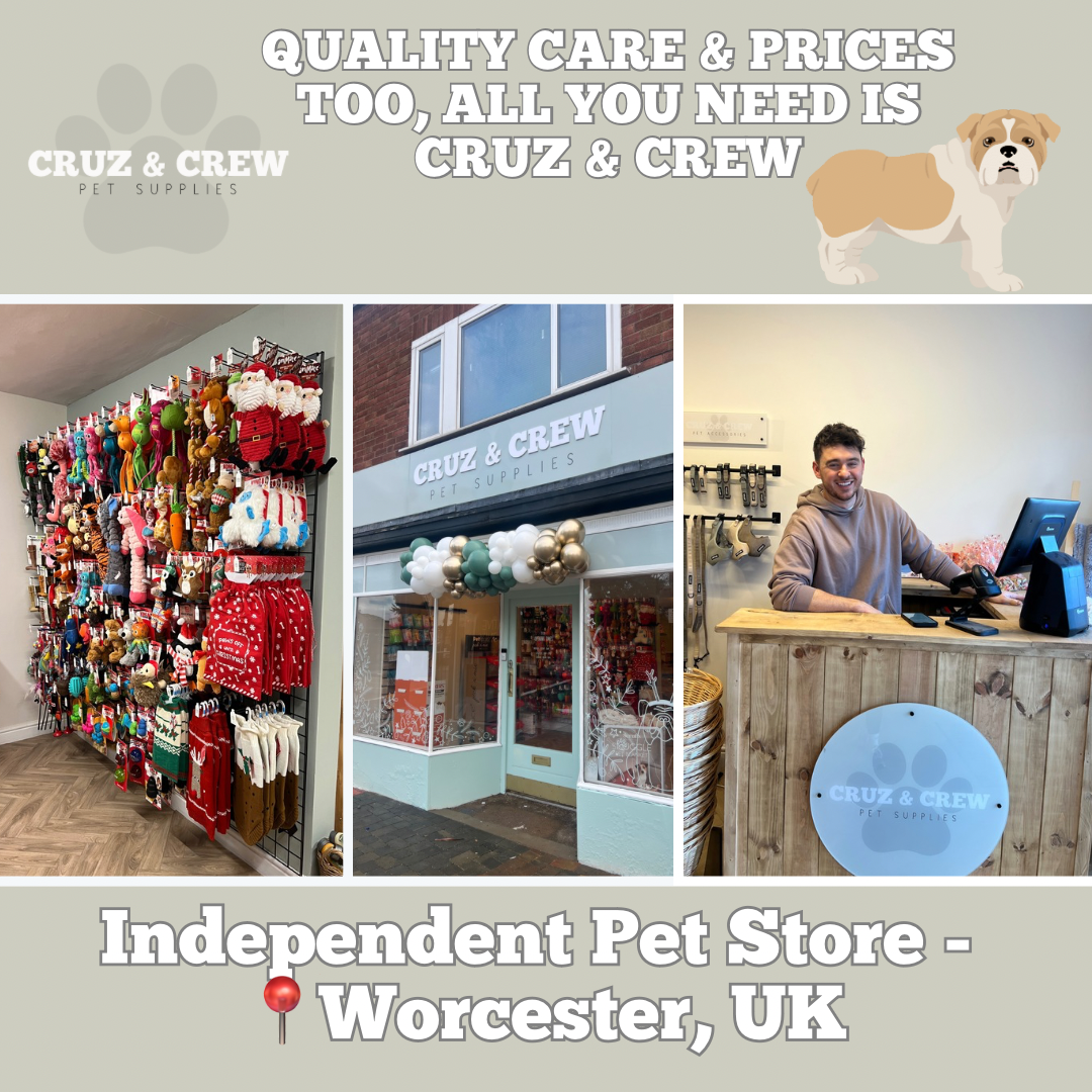 KONG Treat Spiral - Treat Dispensing Toy for Dogs