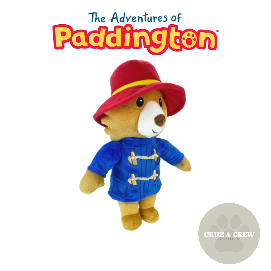 Paddington Bear Dog Comfort Toy