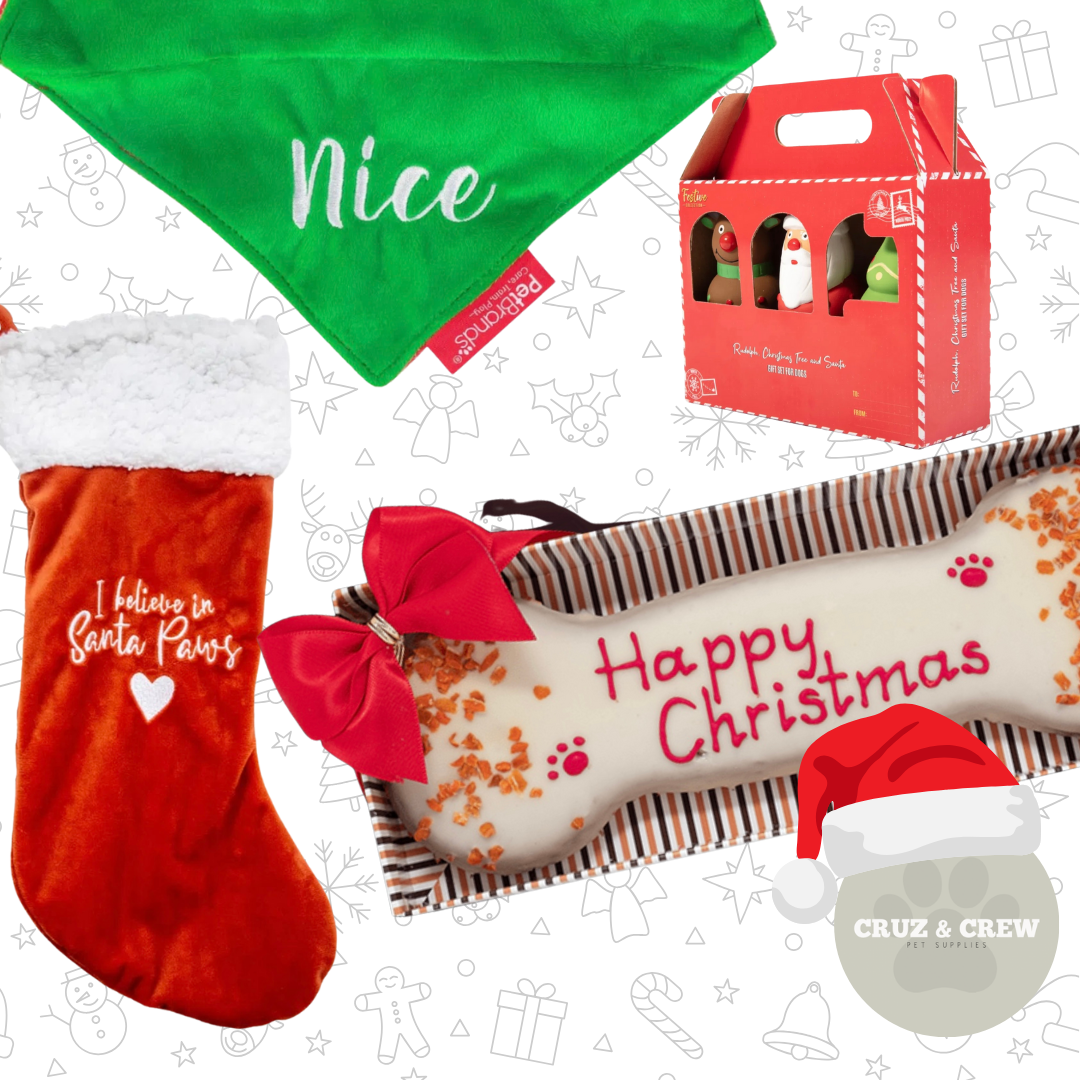 Christmas Gifts & Toys For Dogs
