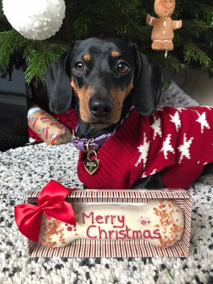 Christmas Gifts & Toys For Dogs