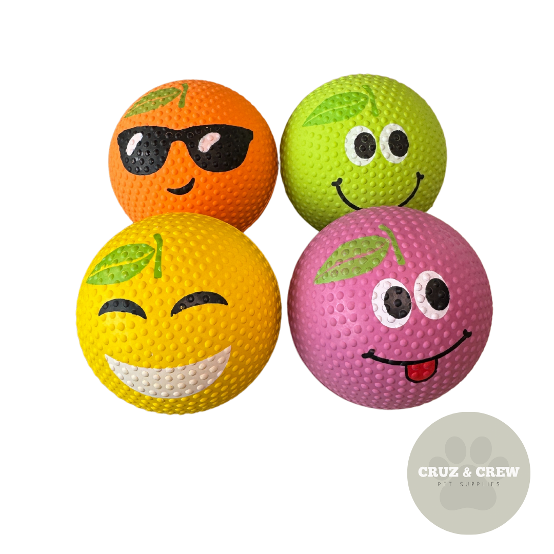 π Sport Pet Ball & Rugby Ball Range β Tug, Fetch & Play! πΆ