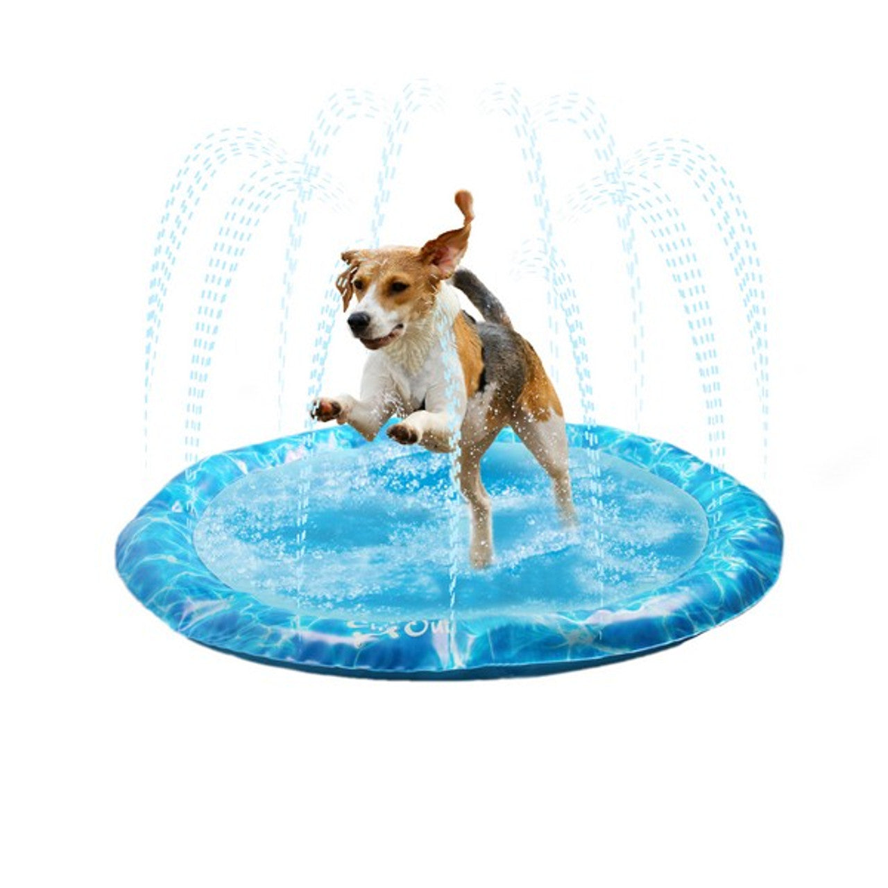 Cooling Toys & Accessories for Dogs – Keep Your Pup Refreshed! ❄️🐶