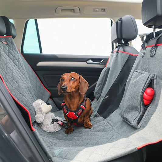 KONG Travel Range – Durable, Comfortable Gear for Dogs on the Go