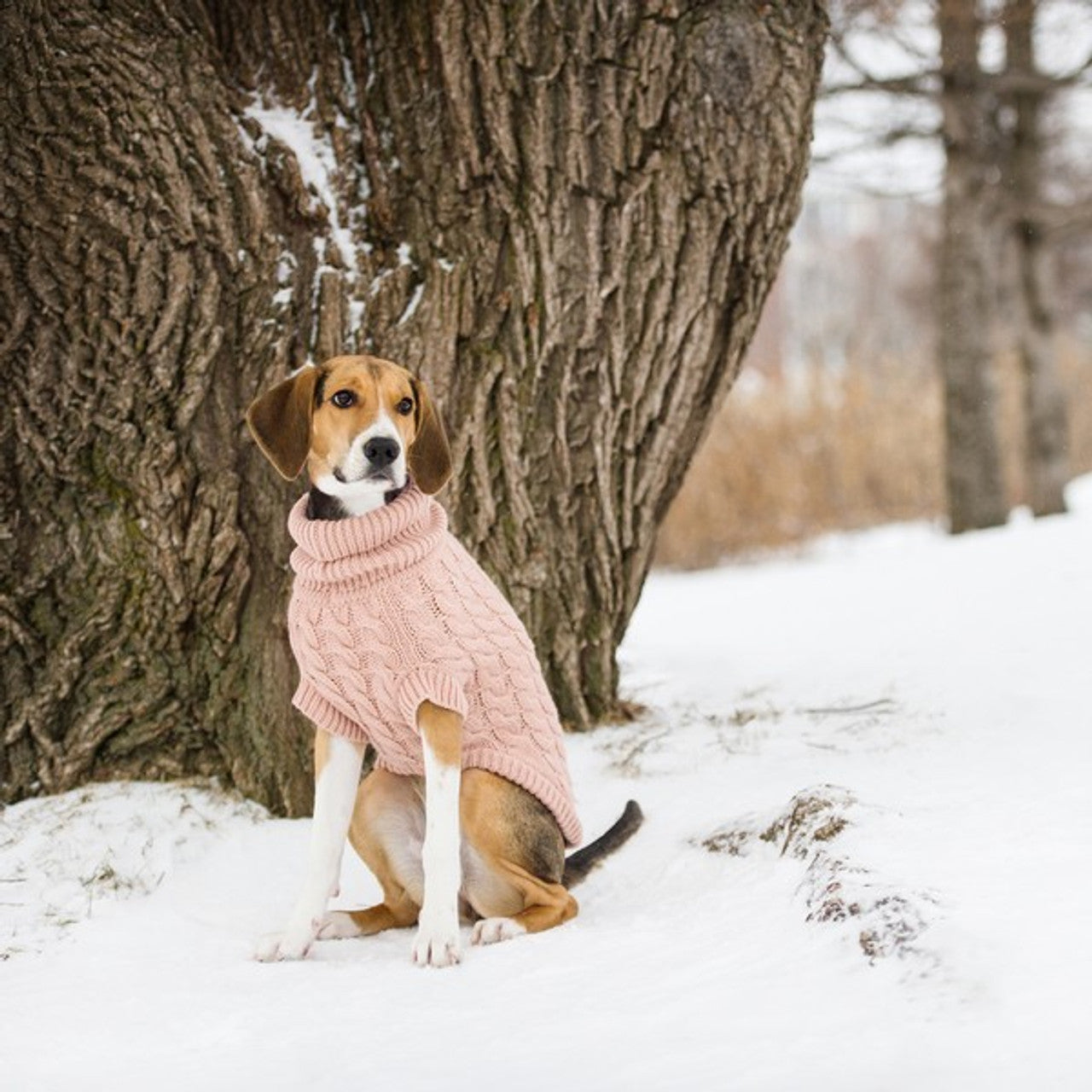 Pet Sweaters & Raincoats For Dogs