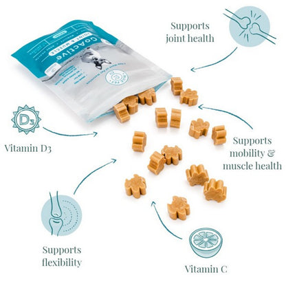 Blue Pet Supplement Range for Dogs